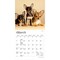 BrownTrout; Chihuahua Puppies | 2027 7 x 14 Inch (Hanging) Monthly Mini Wall Calendar; Category:Wall Calendars; Image:4